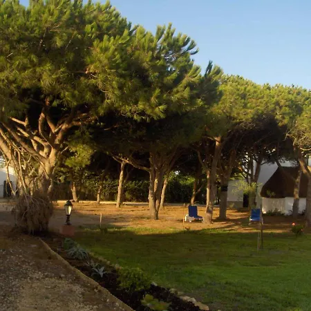 Malyma Front 10,000m2 Botanic Garden Villa